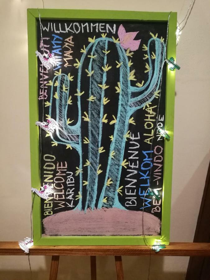 ホテルCasa Cactus カファヤテ エクステリア 写真