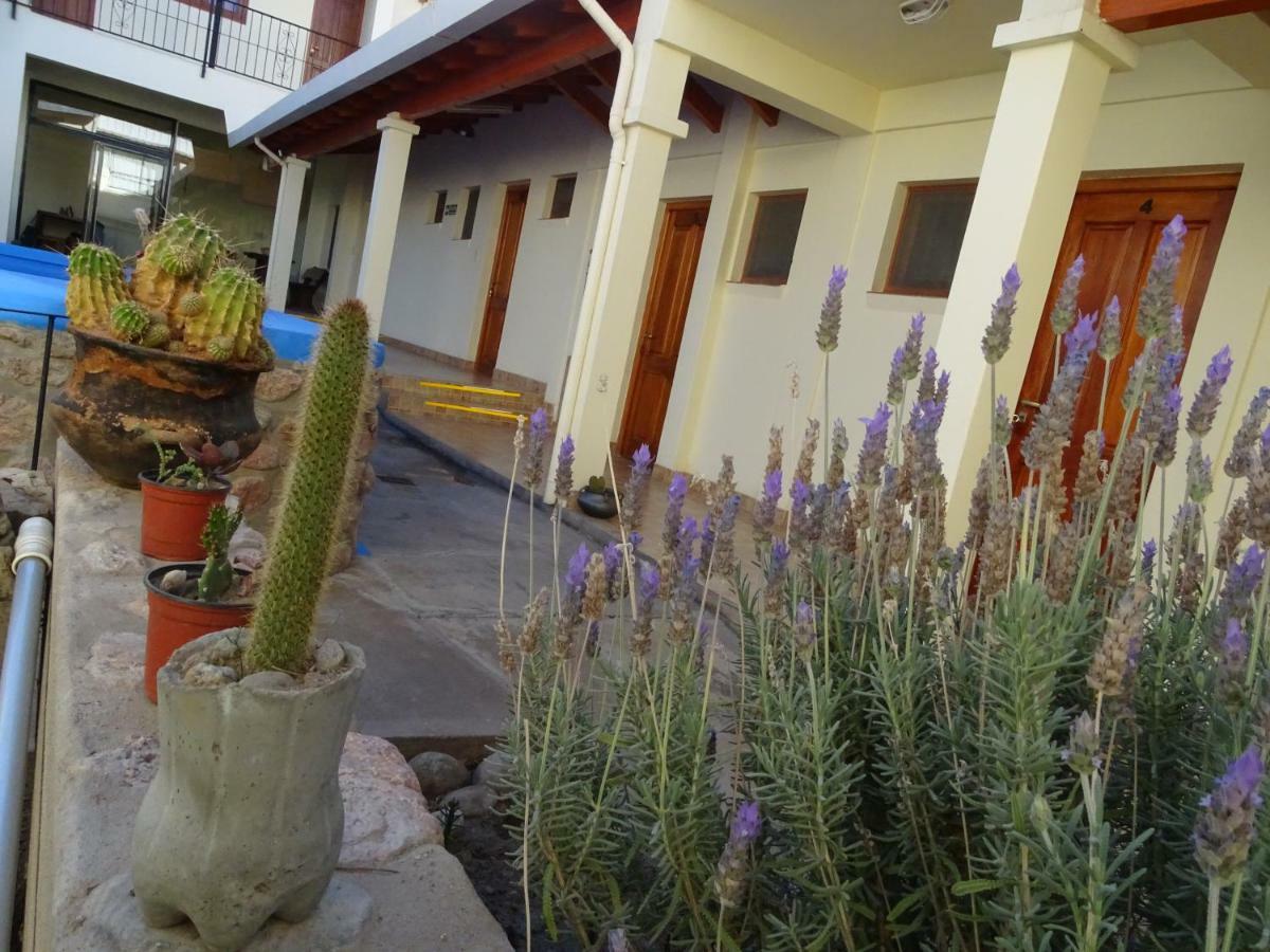 ホテルCasa Cactus カファヤテ エクステリア 写真