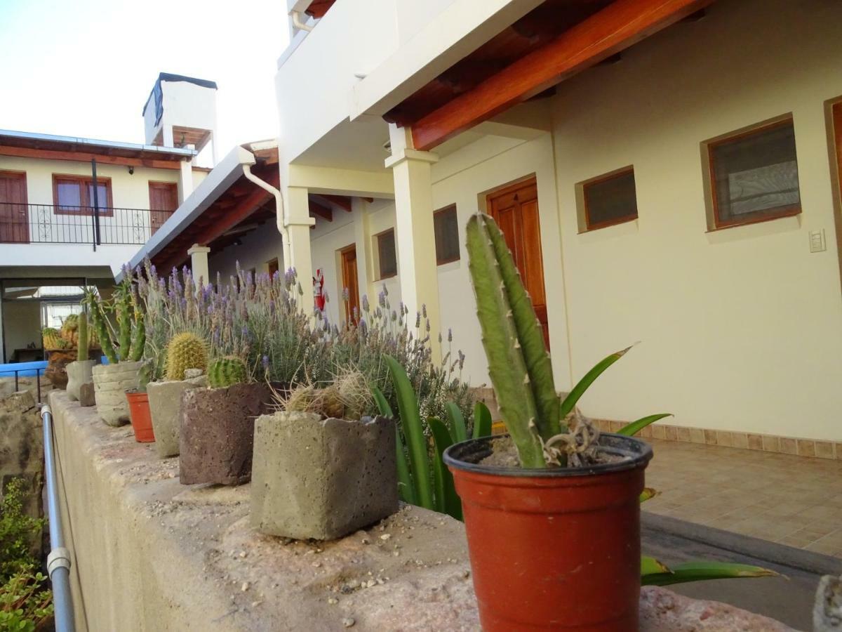 ホテルCasa Cactus カファヤテ エクステリア 写真