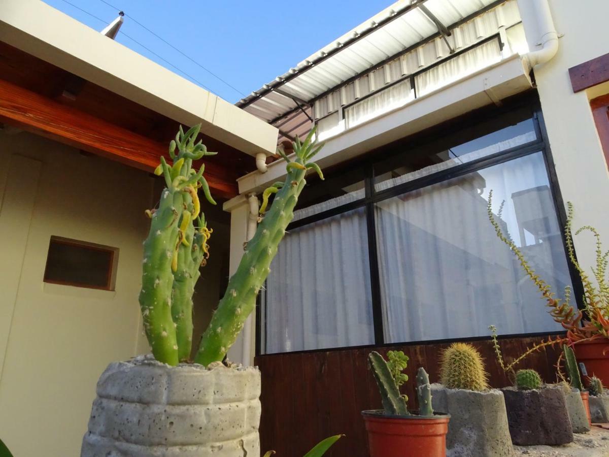 ホテルCasa Cactus カファヤテ エクステリア 写真