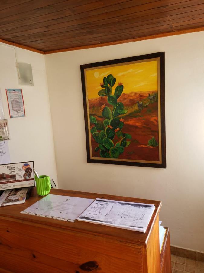ホテルCasa Cactus カファヤテ エクステリア 写真